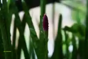 Free download DSC 0966 free photo or picture to be edited with GIMP online image editor