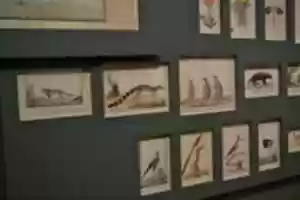 Free download DSC 1242 free photo or picture to be edited with GIMP online image editor