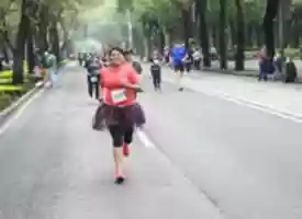 Free download DSC 7311 free photo or picture to be edited with GIMP online image editor