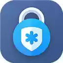 DualSafe Password Manager  Digital Vault  screen for extension Chrome web store in OffiDocs Chromium