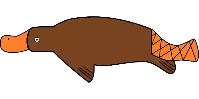 Free download Duck-Billed Platypus Duck - Free vector graphic on Pixabay free illustration to be edited with GIMP free online image editor