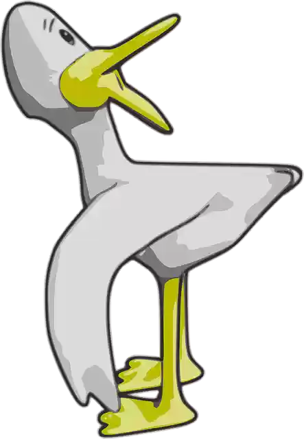 Free download Duck Bird Cartoon - Free vector graphic on Pixabay free illustration to be edited with GIMP free online image editor