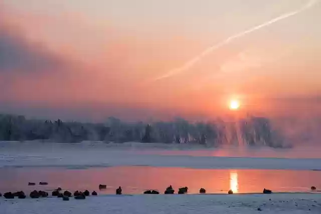 Free download duck birds river frost winter free picture to be edited with GIMP free online image editor