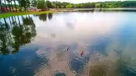 Free download Ducks Mallards Park Lake Sportsman -  free video to be edited with OpenShot online video editor