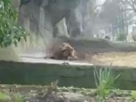 Free download Du findest mich nicht free photo or picture to be edited with GIMP online image editor