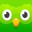 Duolingo Audio  screen for extension Chrome web store in OffiDocs Chromium