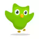 מסך Duolingo Binge להרחבה חנות האינטרנט של Chrome ב-OffiDocs Chromium