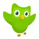 Duolingo על מסך האינטרנט עבור הרחבה של חנות האינטרנט של Chrome ב-OffiDocs Chromium