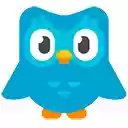 Duolingo Spaced Repetition  screen for extension Chrome web store in OffiDocs Chromium