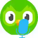 Duo Speech  screen for extension Chrome web store in OffiDocs Chromium