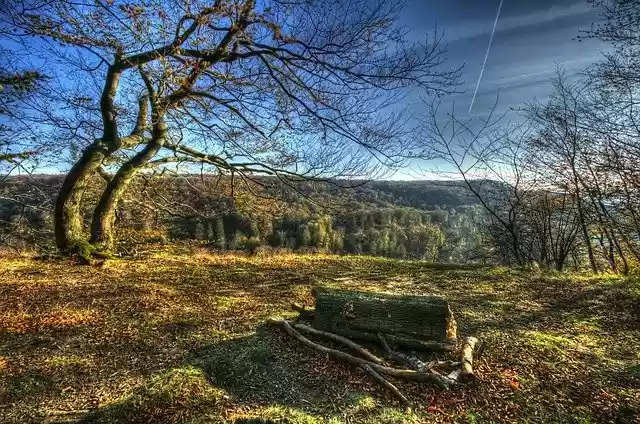 Free download Dwarf Tablelands Autumn -  free free photo or picture to be edited with GIMP online image editor