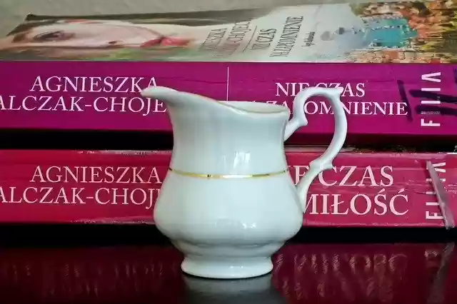 Free download Dzbanuszek Book Reading -  free free photo or picture to be edited with GIMP online image editor