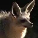 EARLY EAR Theme  screen for extension Chrome web store in OffiDocs Chromium