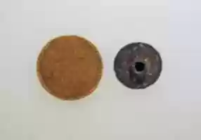 Free download Earring disc free photo or picture to be edited with GIMP online image editor