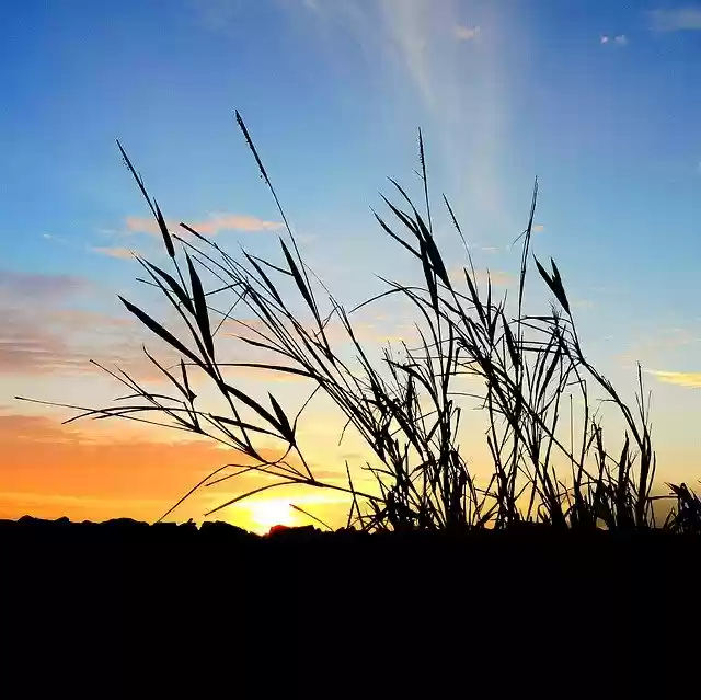 Free download Earth Hour Evening Sunset -  free photo or picture to be edited with GIMP online image editor