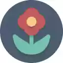 Earth Landscape  screen for extension Chrome web store in OffiDocs Chromium