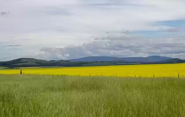 Free download Earth Summer Grass -  free photo or picture to be edited with GIMP online image editor