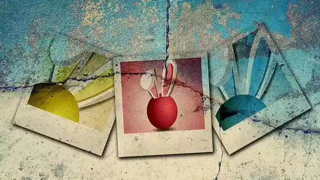 Free download Easter Egg Hase Polaroid -  free illustration to be edited with GIMP free online image editor