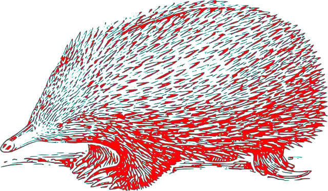 Free download Echidna Hedgehog Hedge-Hog - Free vector graphic on Pixabay free illustration to be edited with GIMP free online image editor