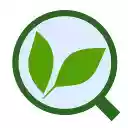 Eco Search  screen for extension Chrome web store in OffiDocs Chromium