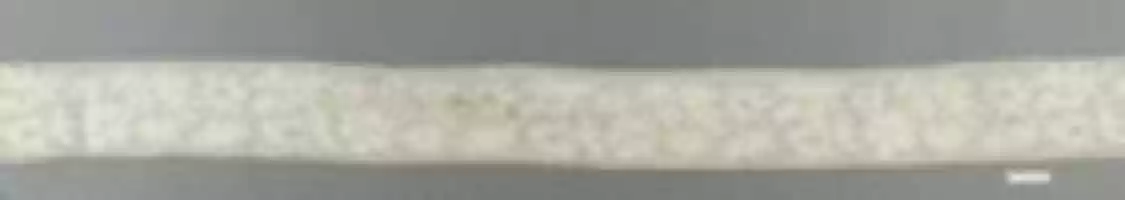 Free download Edge free photo or picture to be edited with GIMP online image editor