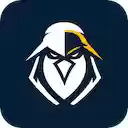 eEagle Proxy Connector  screen for extension Chrome web store in OffiDocs Chromium