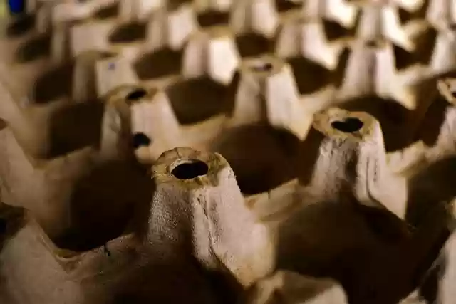 Free download egg carton cardboard packaging free picture to be edited with GIMP free online image editor