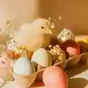 Eggs and Chicks  screen for extension Chrome web store in OffiDocs Chromium