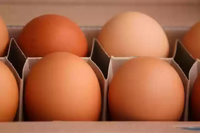 Free download eggs chicken eggs egg box free picture to be edited with GIMP free online image editor