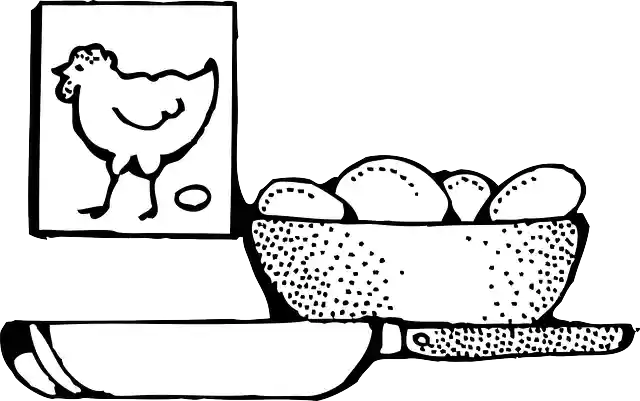 Free download Eggs Chicken Poultry - Free vector graphic on Pixabay free illustration to be edited with GIMP free online image editor