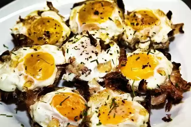 Free download Egg Scrambled Eggs Eat -  free photo or picture to be edited with GIMP online image editor