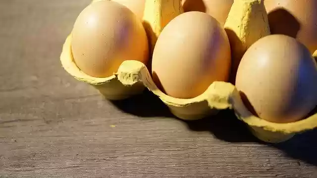 Free download Eggs Egg Box Container -  free free photo or picture to be edited with GIMP online image editor