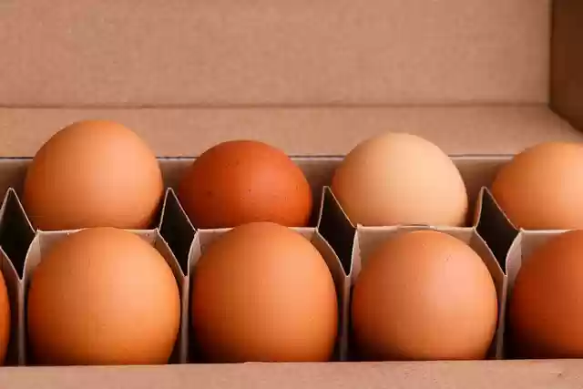 Free download eggs food packaging chicken eggs free picture to be edited with GIMP free online image editor