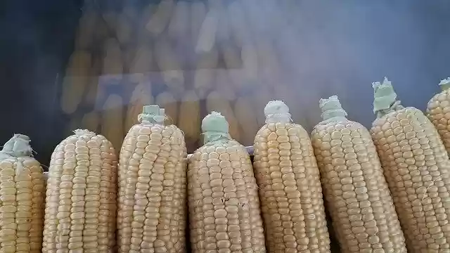 Free download Egypt Food Grain -  free photo or picture to be edited with GIMP online image editor