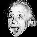 Einstein  screen for extension Chrome web store in OffiDocs Chromium