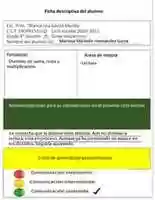 Free download El aglomerado 1 free photo or picture to be edited with GIMP online image editor