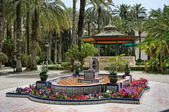 Free download Elche Spain Park -  free photo or picture to be edited with GIMP online image editor