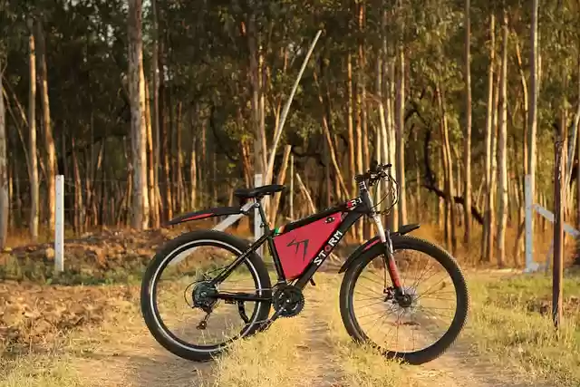 Free download electric bike ebike electric ectlv free picture to be edited with GIMP free online image editor
