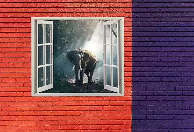 Free download Elephant Animal Photography -  free photo or picture to be edited with GIMP online image editor