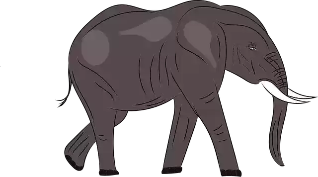 Free download Elephant Animal Wild - Free vector graphic on Pixabay free illustration to be edited with GIMP free online image editor