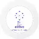 Elifive AI Summarizer  screen for extension Chrome web store in OffiDocs Chromium