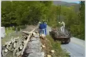 Free download Elkdale Cemetery, Susquehanna County, PA, Interment Records, Part 2 free photo or picture to be edited with GIMP online image editor