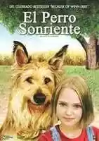 Free download El Perro Sonrriente free photo or picture to be edited with GIMP online image editor