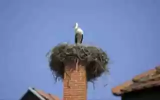 免费下载 EM Chimney Sweep 免费照片或图片以使用 GIMP 在线图像编辑器进行编辑