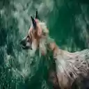 Emerald Fox Theme  screen for extension Chrome web store in OffiDocs Chromium