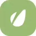 Envato Market Blog  screen for extension Chrome web store in OffiDocs Chromium