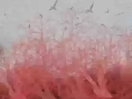 Free download en viaje free photo or picture to be edited with GIMP online image editor