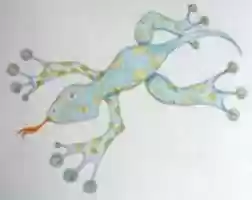 Free download Esa salamanquesa free photo or picture to be edited with GIMP online image editor