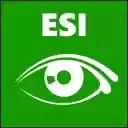 ESI Stylish  screen for extension Chrome web store in OffiDocs Chromium
