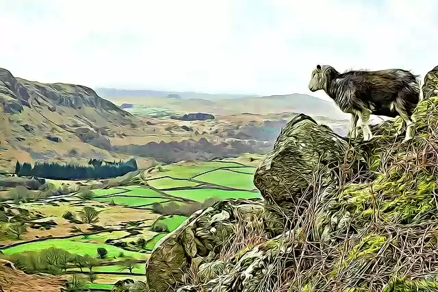 Free download Eskdale Herdwick Landscape -  free illustration to be edited with GIMP free online image editor